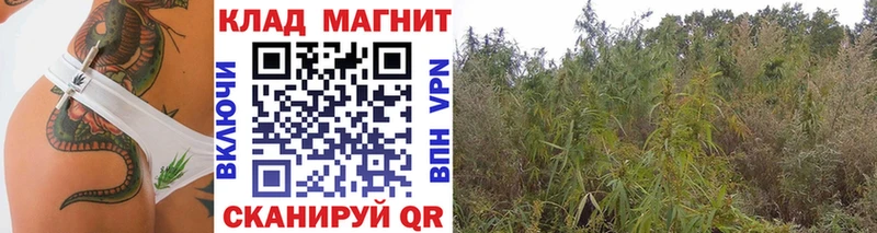 Купить наркотики цена Великий Устюг Марихуана Альфа ПВП Гашиш Меф мяу мяу Кокаин