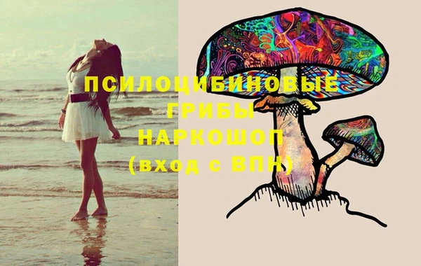 2c-b Богородицк