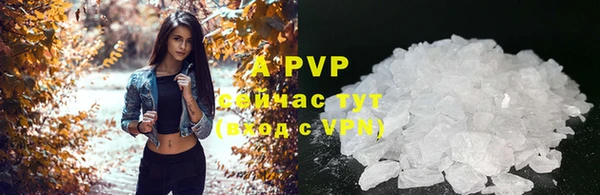 эйфоретик Белокуриха