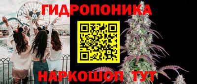 не бодяженный Бийск