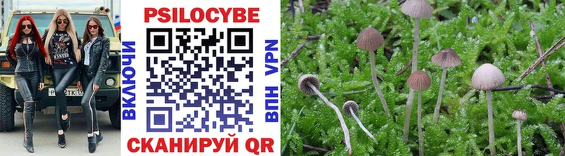 omg ссылки  купить наркотики сайты  Великий Устюг  Псилоцибиновые грибы Cubensis 