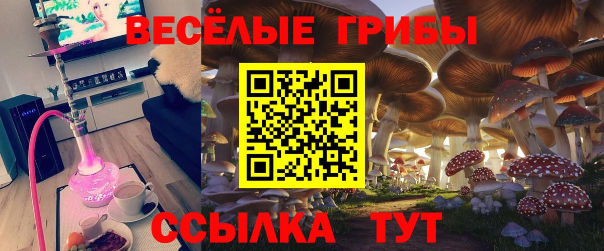Великий Устюг  Псилоцибиновые грибы Psilocybe  Вход с VPN 